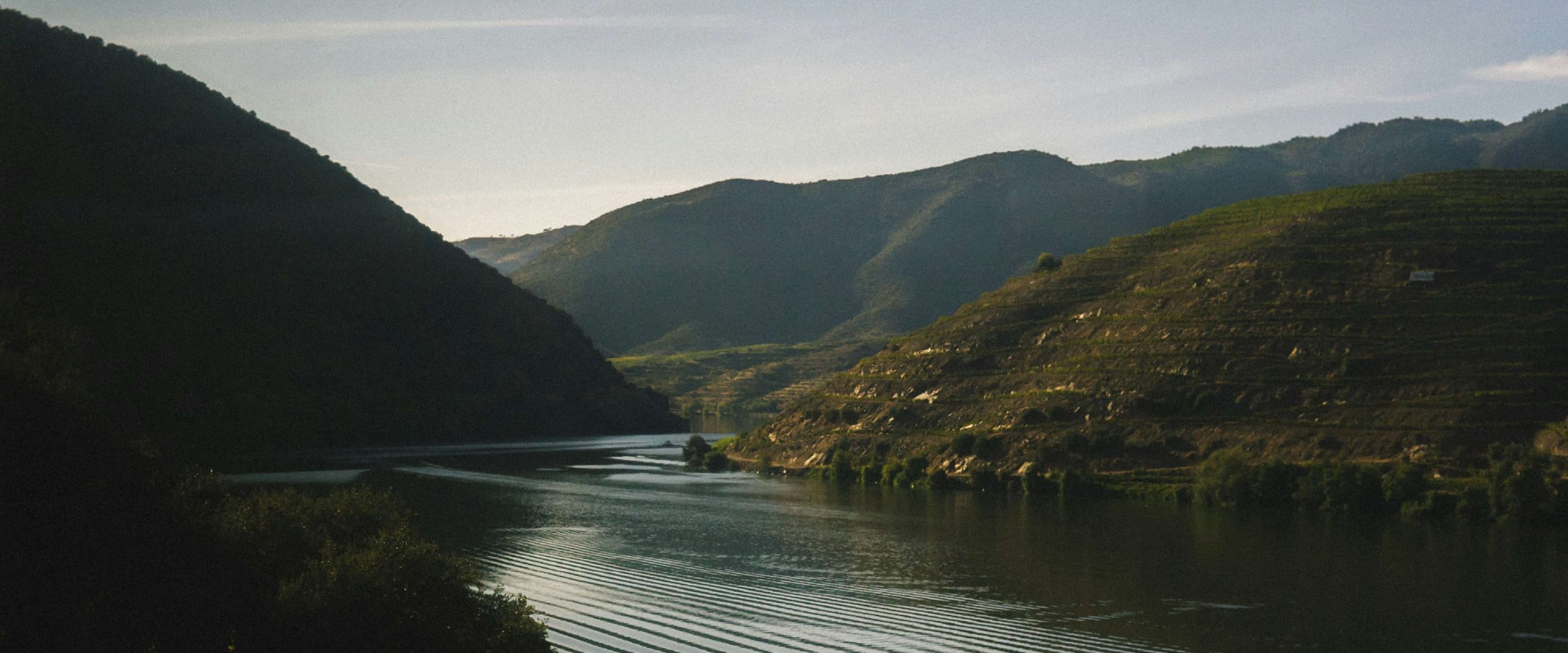 Douro Group Tour: Valley Exclusive Boat &#038; Wine Tour