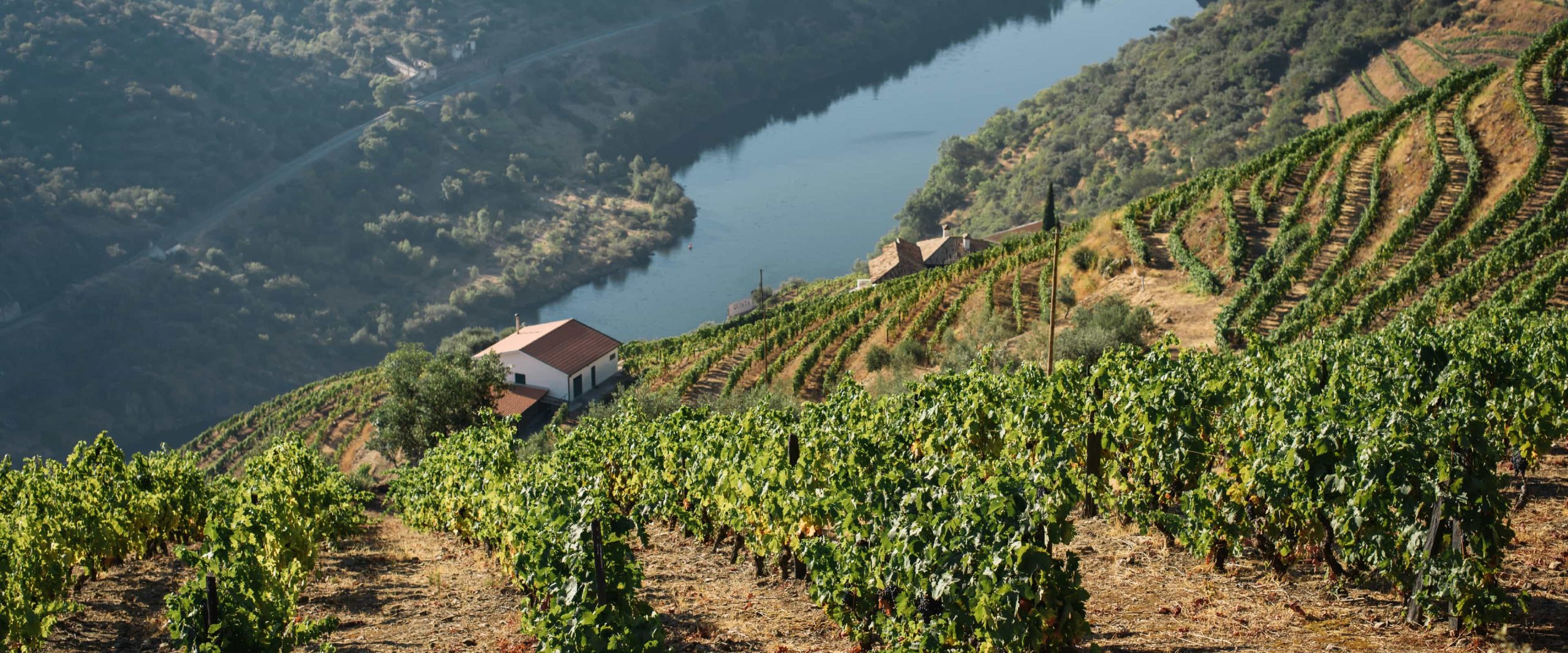 Douro Group Tour: A Wine and Boat tour in the Valley