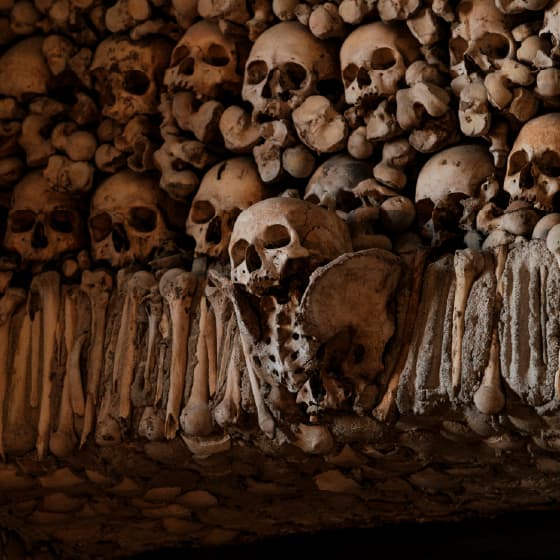 Évora: Where the ancient past meets the Alentejo sun