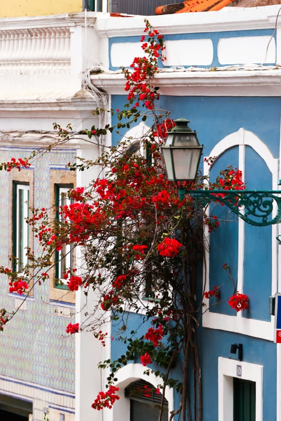 Lisbon on foot: slow-paced & story-packed walking tour