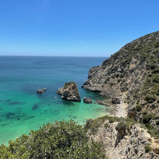 Arrábida: Nature, wine tasting, and coastal views in a private tour
