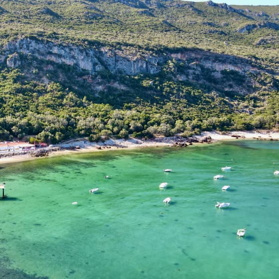 Arrábida: Nature, wine tasting, and coastal views in a private tour