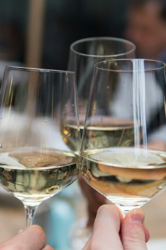 Arrábida: Nature, wine tasting, and coastal views in a private tour