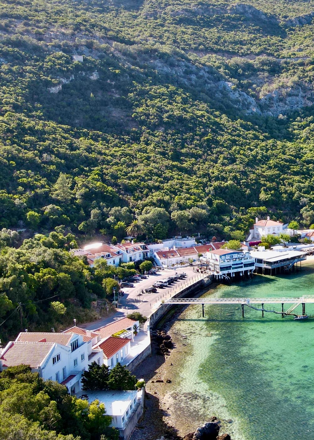 Arrábida: Nature, wine tasting, and coastal views in a private tour